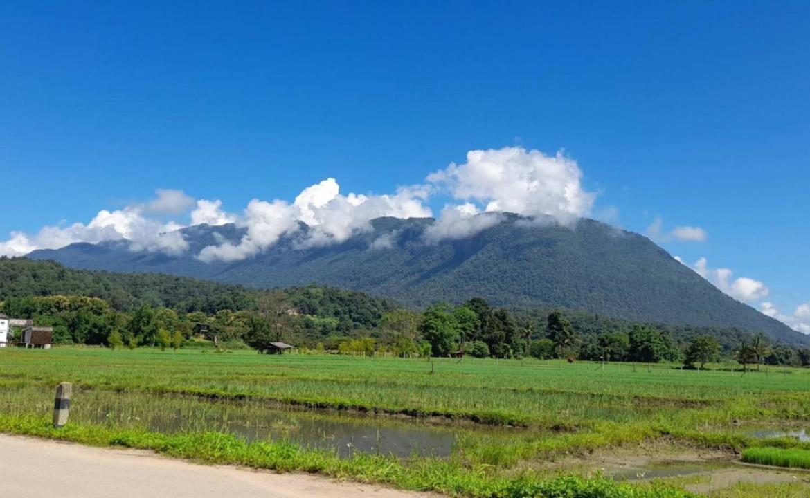 Born Guest House Chiang Mai Bagian luar foto